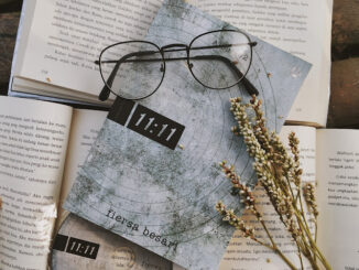 Review Buku 11.11 - Fiersa Besari