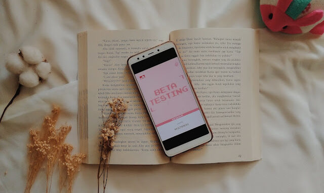 Book Review Beta Testing - Mooseboo