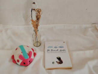 Book Review Di Tanah Lada - Ziggy Zezsyazeoviennazabrizkie