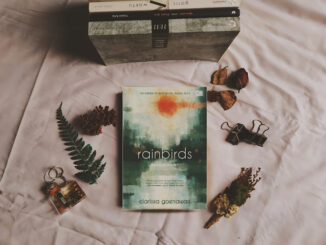 Book Review Rainbirds - Clarissa Goenawan