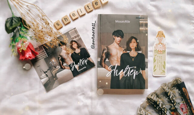 Book Review Shelter - MosaicRile